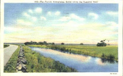 Everglades, Florida Kartpostalı