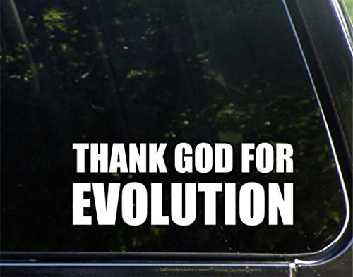 Tanrıya şükür Evrim Arabalar için Komik Araba vinil tampon çıkartması Pencere Çıkartması / Beyaz / 8.75 inç